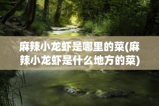 麻辣小龙虾是哪里的菜(麻辣小龙虾是什么地方的菜)