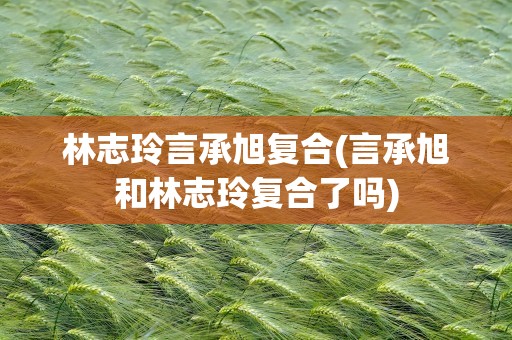林志玲言承旭复合(言承旭和林志玲复合了吗)