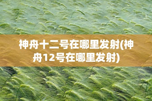 神舟十二号在哪里发射(神舟12号在哪里发射)