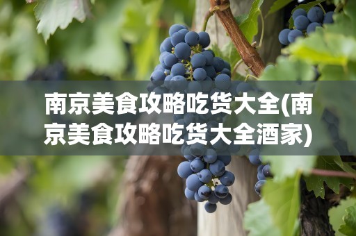 南京美食攻略吃货大全(南京美食攻略吃货大全酒家)