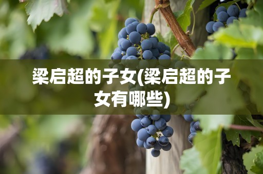 梁启超的子女(梁启超的子女有哪些)