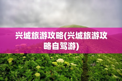 兴城旅游攻略(兴城旅游攻略自驾游)