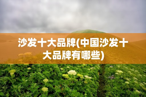 沙发十大品牌(中国沙发十大品牌有哪些)