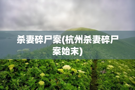 杀妻碎尸案(杭州杀妻碎尸案始末)