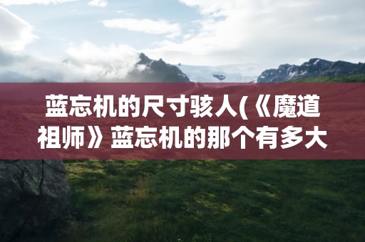蓝忘机的尺寸骇人(《魔道祖师》蓝忘机的那个有多大)