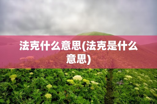 法克什么意思(法克是什么意思)