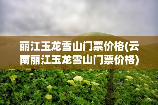 丽江玉龙雪山门票价格(云南丽江玉龙雪山门票价格)