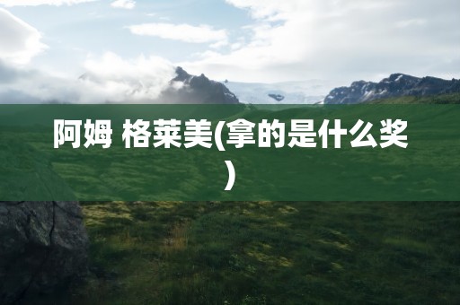 阿姆 格莱美(拿的是什么奖)