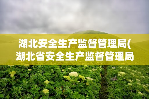 湖北安全生产监督管理局(湖北省安全生产监督管理局网站首页)