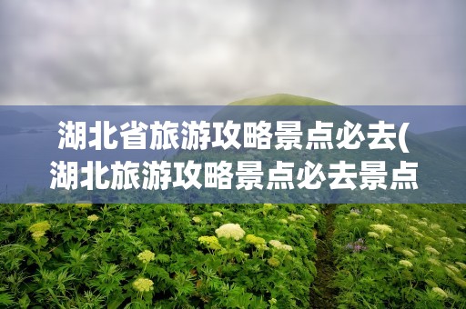 湖北省旅游攻略景点必去(湖北旅游攻略景点必去景点)