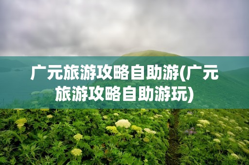 广元旅游攻略自助游(广元旅游攻略自助游玩)