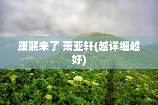 康熙来了 萧亚轩(越详细越好)