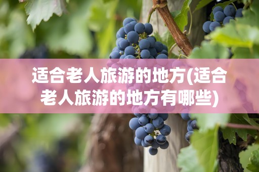 适合老人旅游的地方(适合老人旅游的地方有哪些)