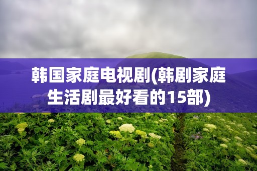 韩国家庭电视剧(韩剧家庭生活剧最好看的15部)