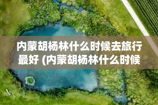 内蒙胡杨林什么时候去旅行最好 (内蒙胡杨林什么时候去旅行最好)