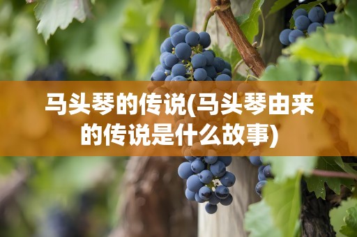 马头琴的传说(马头琴由来的传说是什么故事)