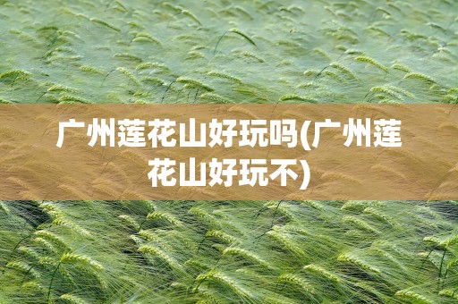 广州莲花山好玩吗(广州莲花山好玩不)