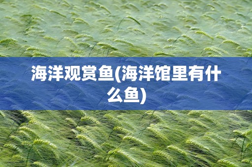 海洋观赏鱼(海洋馆里有什么鱼)