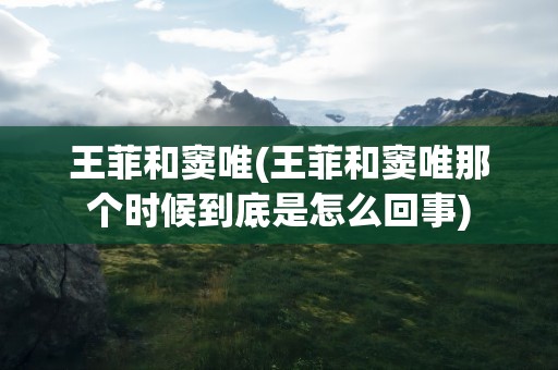 王菲和窦唯(王菲和窦唯那个时候到底是怎么回事)