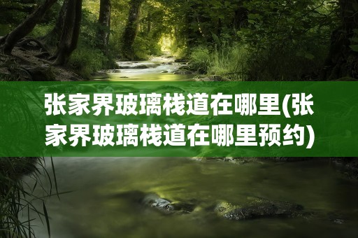 张家界玻璃栈道在哪里(张家界玻璃栈道在哪里预约)