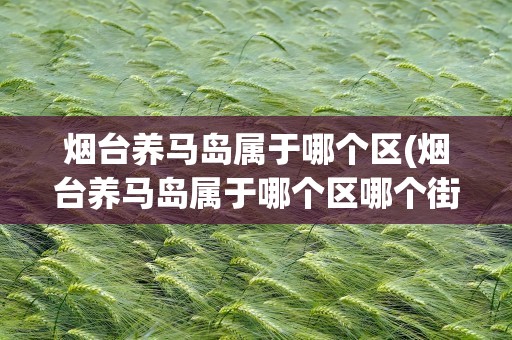 烟台养马岛属于哪个区(烟台养马岛属于哪个区哪个街道)