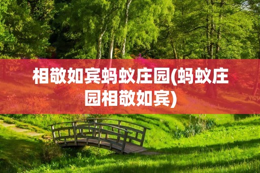 相敬如宾蚂蚁庄园(蚂蚁庄园相敬如宾)