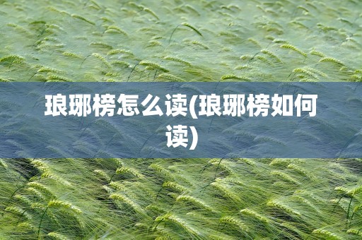 琅琊榜怎么读(琅琊榜如何读)