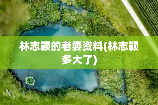 林志颖的老婆资料(林志颖多大了)