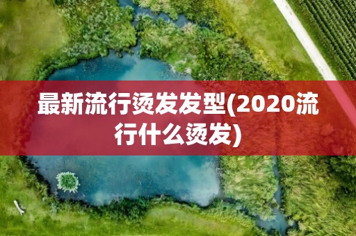 最新流行烫发发型(2020流行什么烫发)