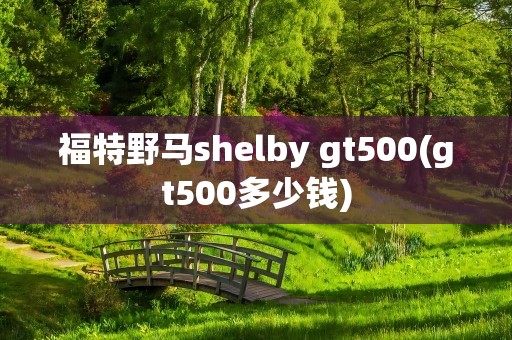福特野马shelby gt500(gt500多少钱)