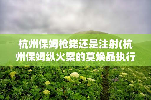 杭州保姆枪毙还是注射(杭州保姆纵火案的莫焕晶执行死刑的方式是枪毙还是注射)