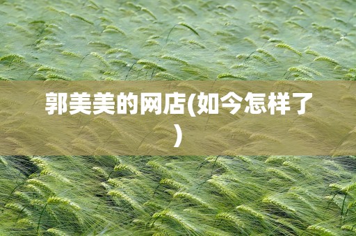 郭美美的网店(如今怎样了)