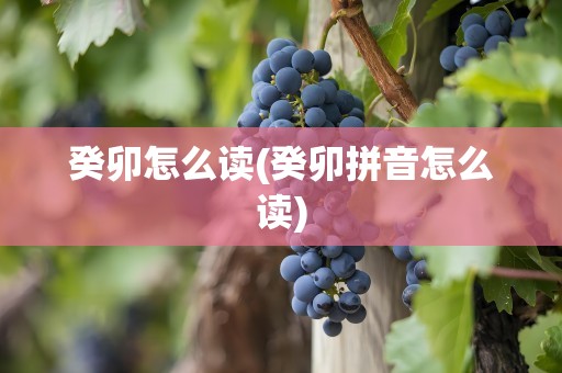 癸卯怎么读(癸卯拼音怎么读)