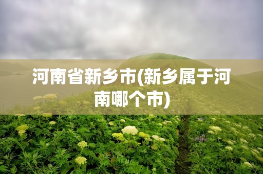河南省新乡市(新乡属于河南哪个市)