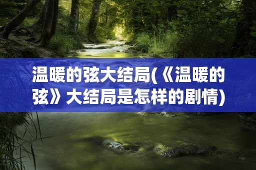 温暖的弦大结局(《温暖的弦》大结局是怎样的剧情)