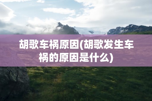 胡歌车祸原因(胡歌发生车祸的原因是什么)