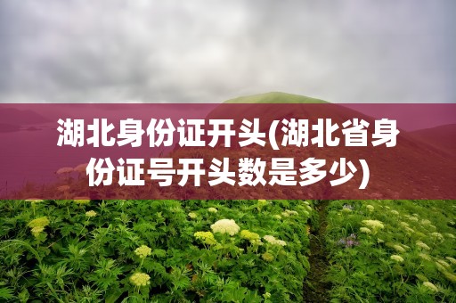湖北身份证开头(湖北省身份证号开头数是多少)