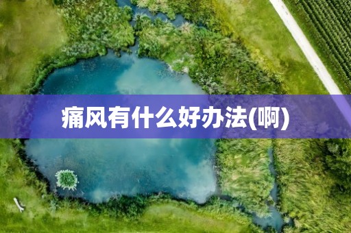 痛风有什么好办法(啊)