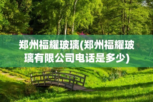 郑州福耀玻璃(郑州福耀玻璃有限公司电话是多少)
