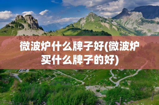 微波炉什么牌子好(微波炉买什么牌子的好)