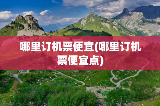 哪里订机票便宜(哪里订机票便宜点)