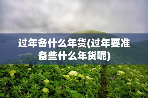过年备什么年货(过年要准备些什么年货呢)
