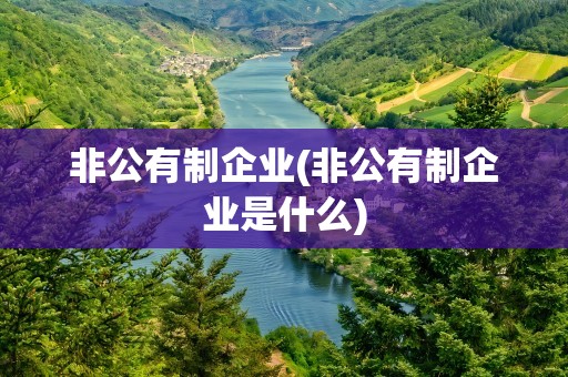 非公有制企业(非公有制企业是什么)