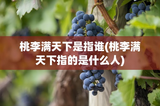 桃李满天下是指谁(桃李满天下指的是什么人)
