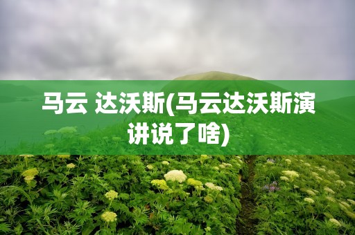马云 达沃斯(马云达沃斯演讲说了啥)