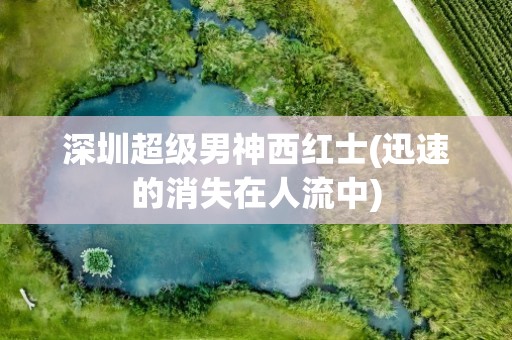 深圳超级男神西红士(迅速的消失在人流中)