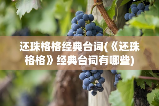 还珠格格经典台词(《还珠格格》经典台词有哪些)