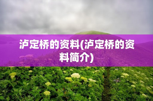泸定桥的资料(泸定桥的资料简介)