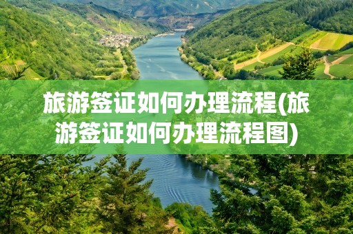 旅游签证如何办理流程(旅游签证如何办理流程图)