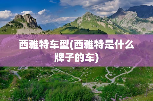 西雅特车型(西雅特是什么牌子的车)
